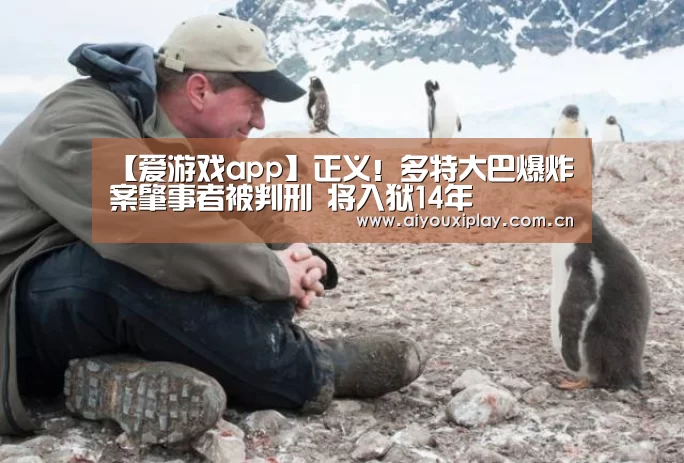 爱游戏平台