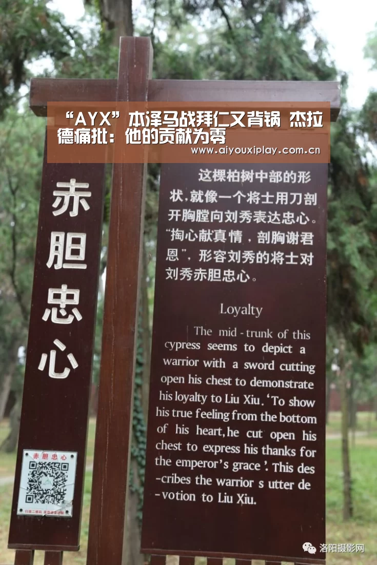 “AYX”本泽马战拜仁又背锅 杰拉德痛批：他的贡献为零(图1)