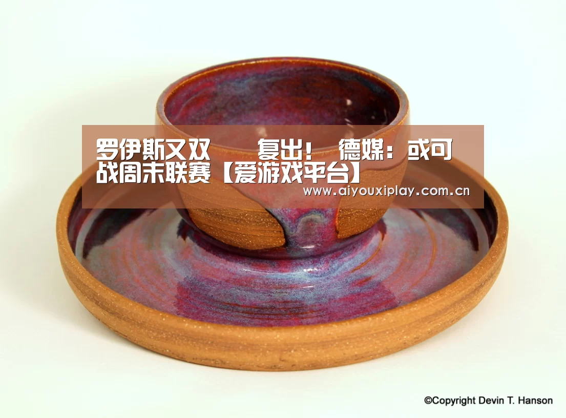罗伊斯又双叒叕复出！ 德媒：或可战周末联赛【爱游戏平台】(图1)