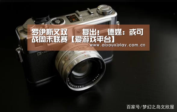 爱游戏app