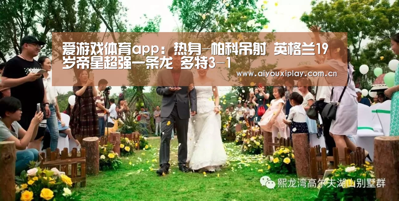 爱游戏体育app:热身-帕科吊射 英格兰19岁帝星超强一条龙 多特3-1(图1) 爱游戏体育app