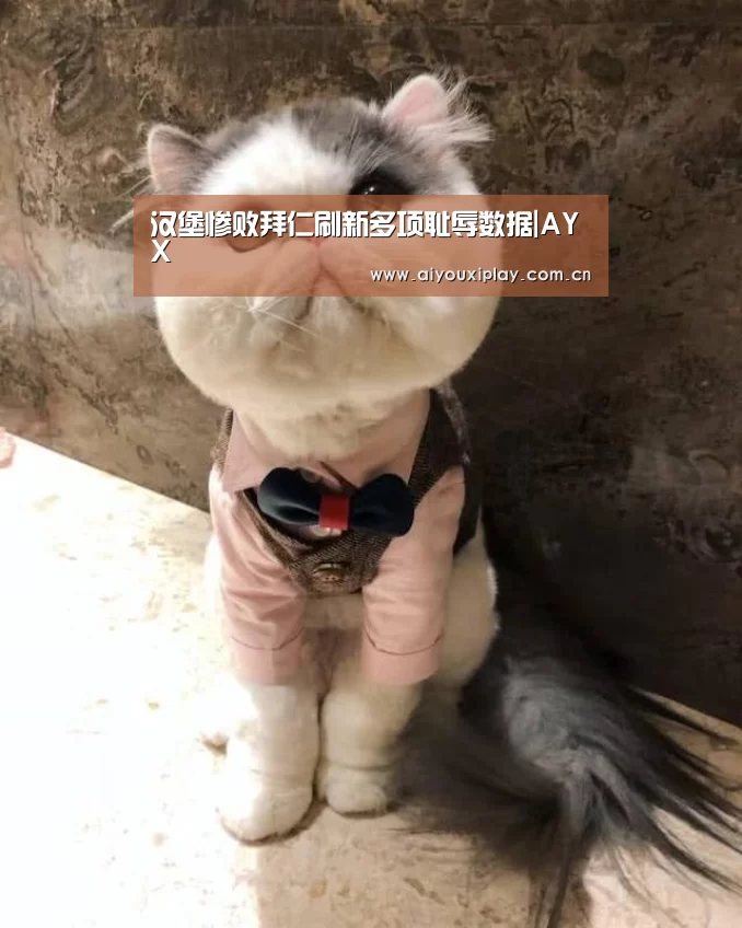 汉堡惨败拜仁刷新多项耻辱数据|AYX(图1)