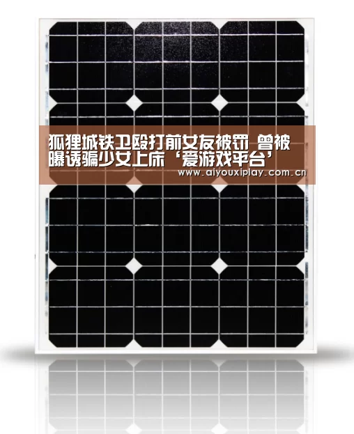 狐狸城铁卫殴打前女友被罚 曾被曝诱骗少女上床‘爱游戏平台’(图2)