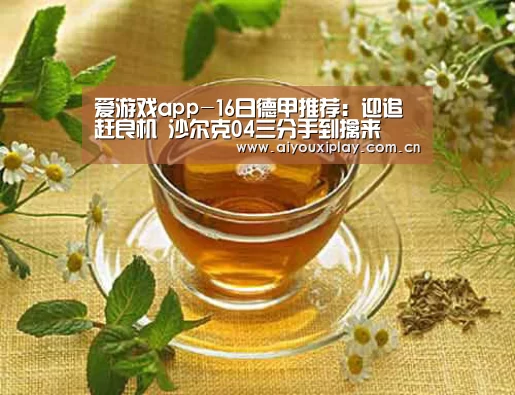 爱游戏app-16日德甲推荐：迎追赶良机 沙尔克04三分手到擒来